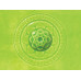 Wasabi - 16oz Celadon Mid Range Glaze Wasabi - 16oz Celadon Mid Range Glaze