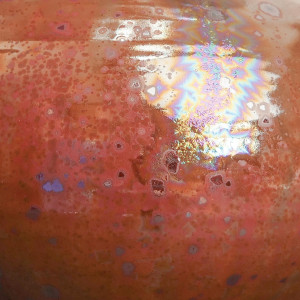 Cosmos Cosmos