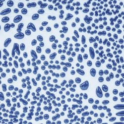 Dark Blue 16-oz. Amaco Crawl Mid-Range Glaze