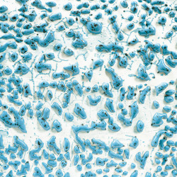 Speckled Teal 16-oz. Amaco Crawl Mid-Range Glaze Speckled Teal 16-oz. Amaco Crawl Mid-Range Glaze