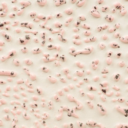 Speckled Pink 16-oz. Amaco Crawl Mid-Range Glaze Speckled Pink 16-oz. Amaco Crawl Mid-Range Glaze
