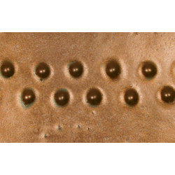 Saturation Gold - 16oz Potters Choice Cone 5 Glaze Saturation Gold - 16oz Potters Choice Cone 5 Glaze