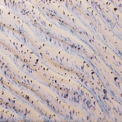 Aurora Breeze - 16oz Amaco Potters Choice Flux Cone 5 Glaze