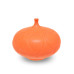 Orange - 16oz Amaco Satin Matte Cone 5 Glaze Orange - 16oz Amaco Satin Matte Cone 5 Glaze