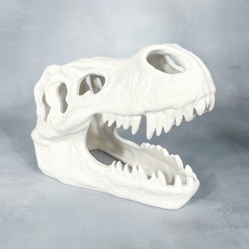 Ceramic Bisque T-Rex Skull
