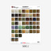 Elements Color Poster