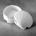 Scallop Shell Box Scallop Shell Box