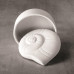 Nautilus Shell Box Nautilus Shell Box