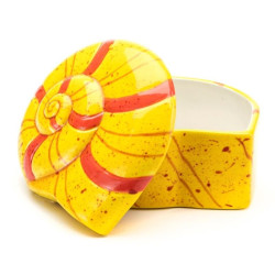 Nautilus Shell Box