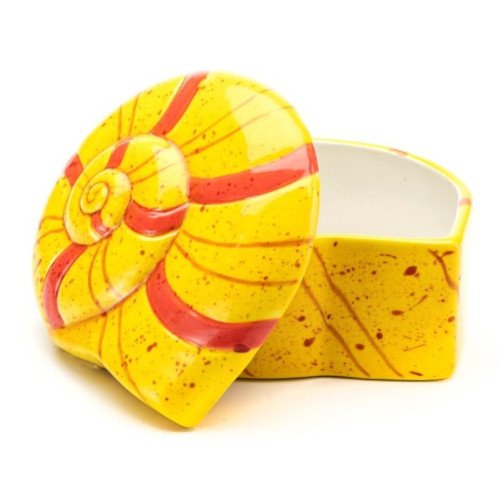 Nautilus Shell Box Nautilus Shell Box