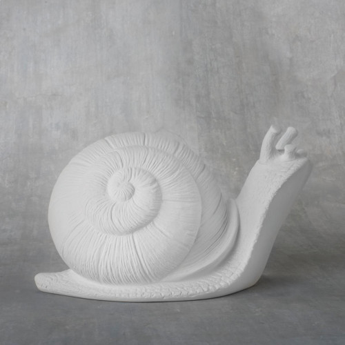 Garden Snail