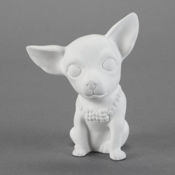 Brewser the Chihuahua