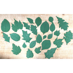 Small Leaf Assortment