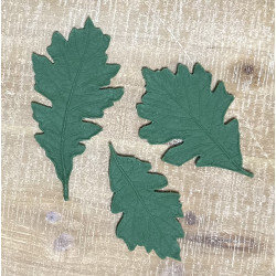 Small Oak Leaves (Set of 3)