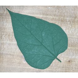 Large Rubber Catalpa Leaf Form Large Rubber Catalpa Leaf Form