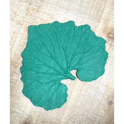 Large Rubber Cineraria Leaf Form Large Rubber Cineraria Leaf Form