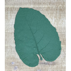 Small Burdock Rubber Leaf Form