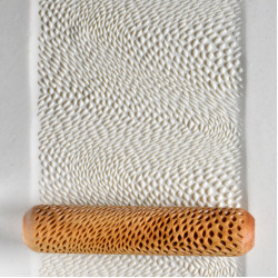 Snake Skin Snake Skin