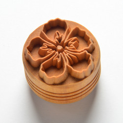Hibiscus Flower