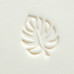 Monstera Leaf Monstera Leaf