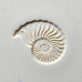 Natilus Natilus
