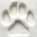 Dog Paw Dog Paw