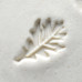 Oak Leaf Oak Leaf