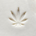 Hemp Leaf