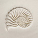 Nautilus Stamp