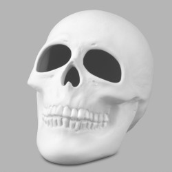 Ceramic Bisque Skull