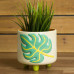 Ceramic Bisque Monstera Footed Container