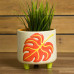 Ceramic Bisque Monstera Footed Container
