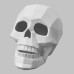 Ceramic Bisque Faceted Skull