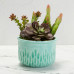Ceramic Bisque Textured Planters (3 Designs) - Set Ceramic Bisque Textured Planters (3 Designs) - Set