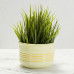 Ceramic Bisque Textured Planters (3 Designs) - Set Ceramic Bisque Textured Planters (3 Designs) - Set