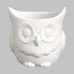 Ceramic Bisque Owl Planter Ceramic Bisque Owl Planter