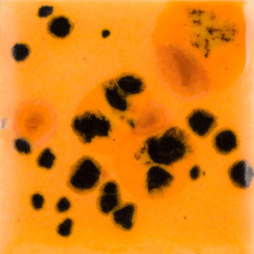 Papaya - 4-oz Mayco Jungle Gem Crystal Glaze Papaya - 4-oz Mayco Jungle Gem Crystal Glaze