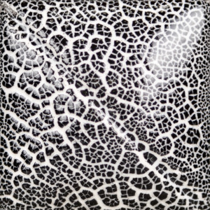 Stoneware Specialty and Engobe Stoneware Specialty and Engobe