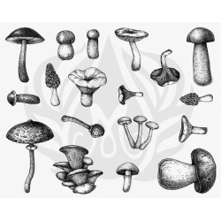 Mushrooms Designer Silk Screen