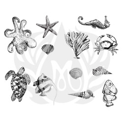 Sea Life - Designer Silk Screen