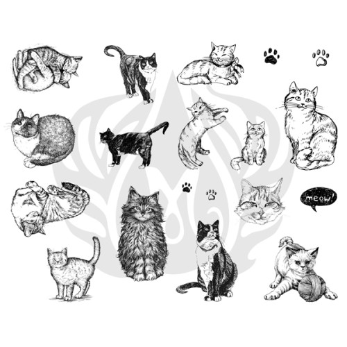 Cats Designer Silk Screen