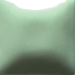 Aqu-Ward - 16 oz. Stroke & Coat by Mayco Colors