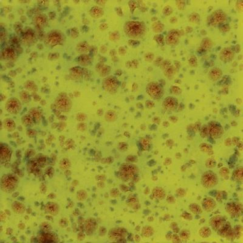 Pistachio - 4oz Mayco Jungle Gem Crystal Glaze Pistachio - 4oz Mayco Jungle Gem Crystal Glaze
