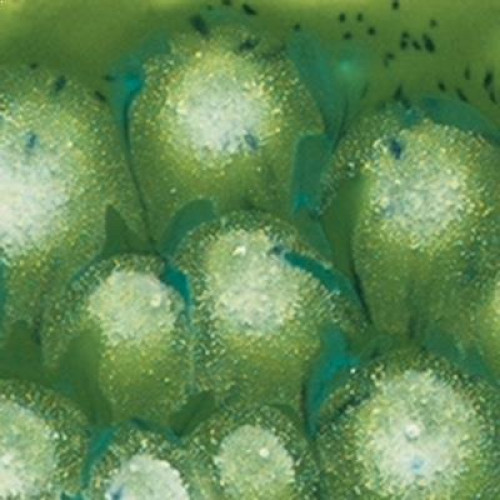 Spotted Kiwi - 4oz Mayco Crystal Glaze Spotted Kiwi - 4oz Mayco Crystal Glaze