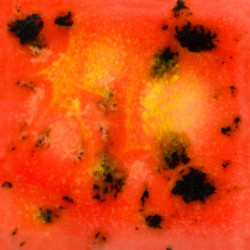 Day Lily - 16 oz. Mayco Jungle Gem Crystal Glaze