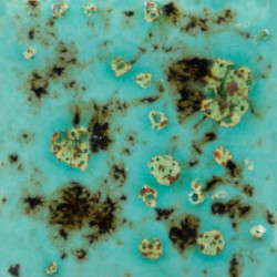 Blue Guppy - 16-oz Mayco Jungle Gem Crystal Glaze