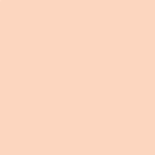 Rich Peach - 2 oz Mayco Acrylic Stain