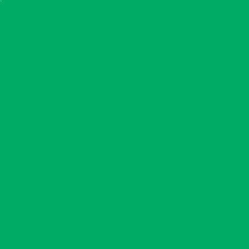 Bright Green - 2 oz Mayco Acrylic Stain