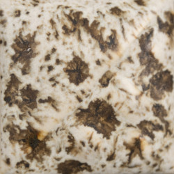 Winter Wood Dry - 10 lbs Dry Mayco Stoneware Glaze Winter Wood Dry - 10 lbs Dry Mayco Stoneware Glaze