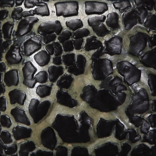 Black Mudcrack - 16 oz Mayco Stoneware Glaze Black Mudcrack - 16 oz Mayco Stoneware Glaze